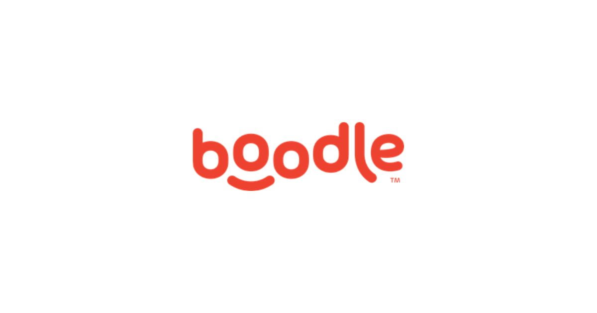 Boodle loan review