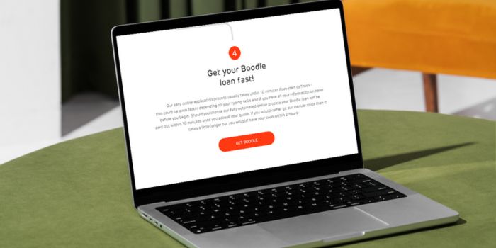 Boodle Loans Online