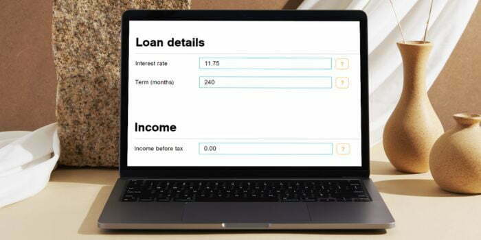 FNB Loan details