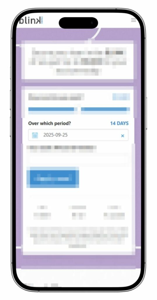 Applying for a Loan with BlinkFinance