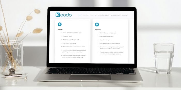 How Koodo Loan Works