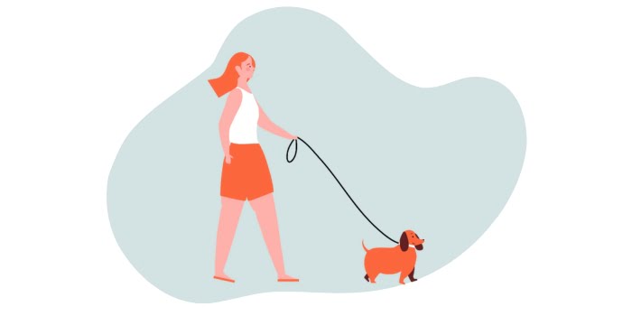 Venturing into Pet Sitting and Dog Walking Services