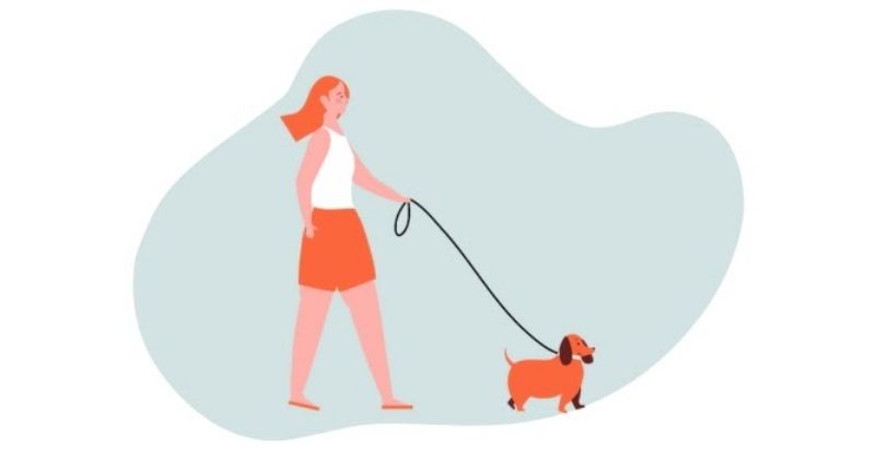 Dog Walking Services