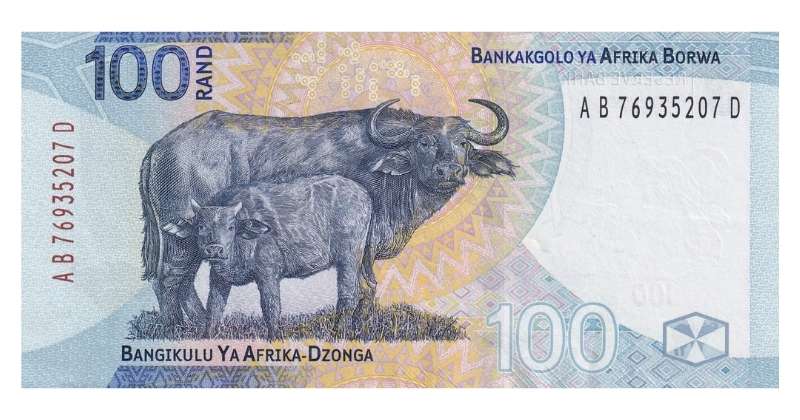 South African 100 Rand Banknote 