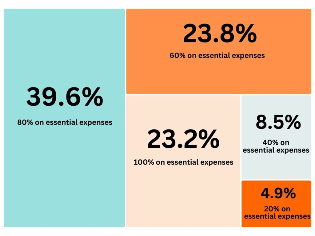 What Proportion of Your Income Goes to Essential Expenditure Compared to Other Expenses