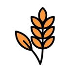 Grains