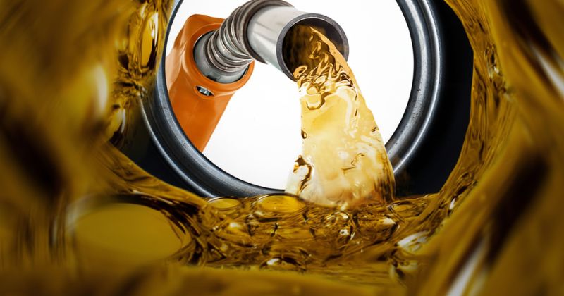 Expected Fuel Price Movements for January in South Africa