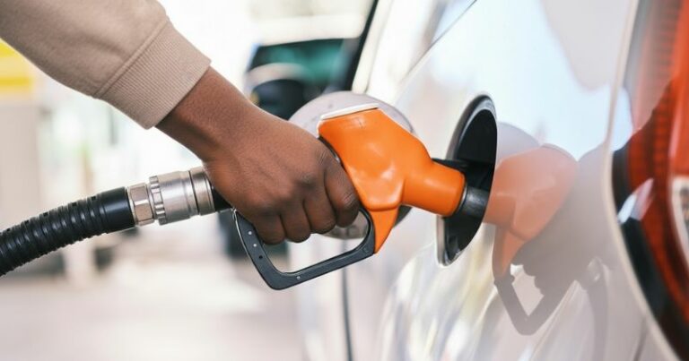 Petrol Prices Rise by 69 Cents Per Litre in South Africa - Arcadia Finance