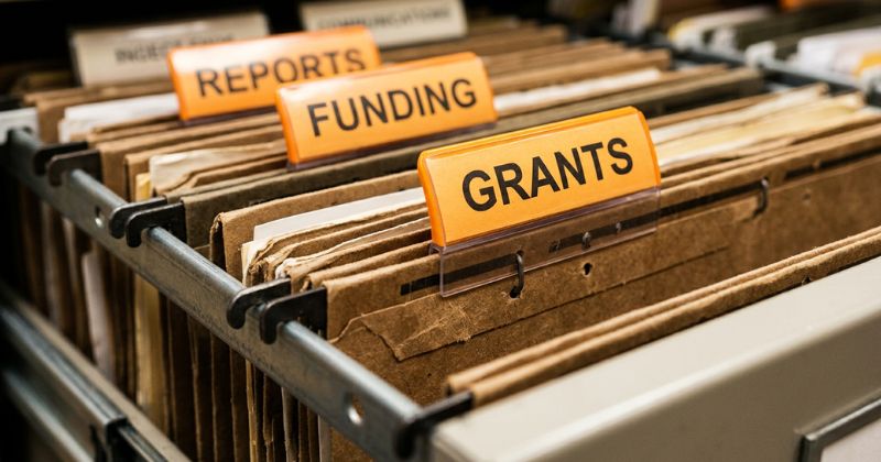 New Social Grant